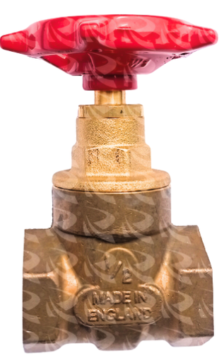 [005067] PEGLER GATE VALVE 1S2