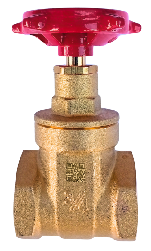 PEGLER GATE VALVE 3S4