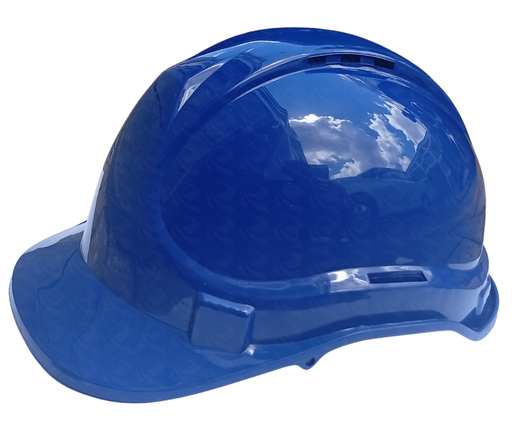 [005142] HELMET BLUE DOLPHIN