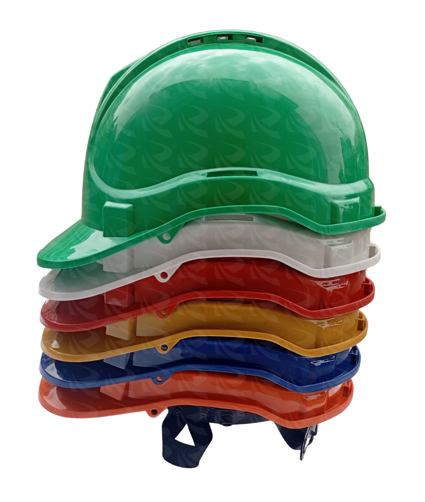HELMET ASSORTED DOLPHIN