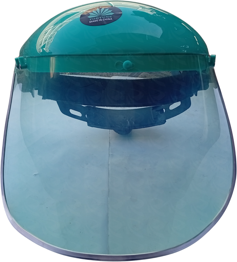 FACE SHIELD CLEAR FORTUNE