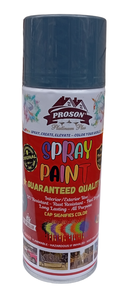 SPRAY PAINT PROSON GREY