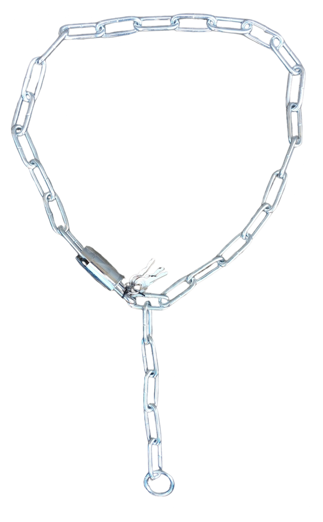 GATE CHAIN LOCK 6X120