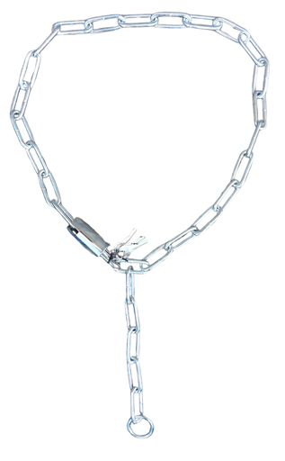[005502] GATE CHAIN LOCK 6X120