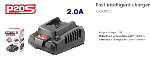 [000859] EFCR20200 INTELLIGENT CHARGER 