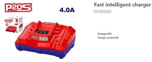 [000860] EFCR20203 INTELLIGENT CHARGER 