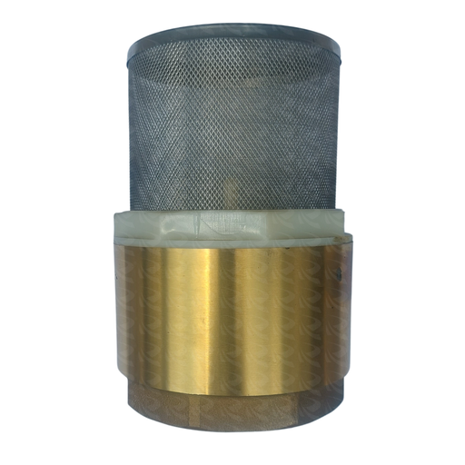 [001180] FOOT VALVE NET TYPE  (4" )