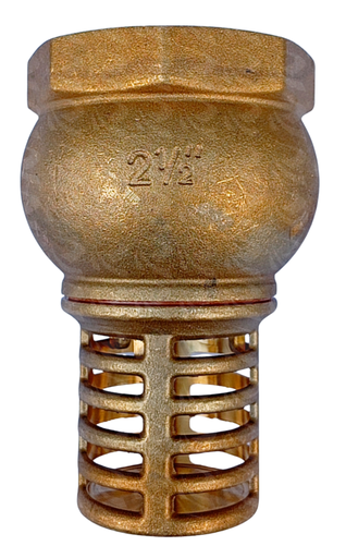 [001181] FOOT VALVE SLOTTED BRASS  (2 1/2")