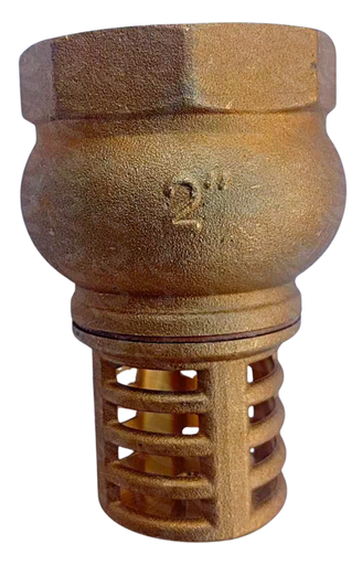 [001182] FOOT VALVE SLOTTED BRASS  (2")