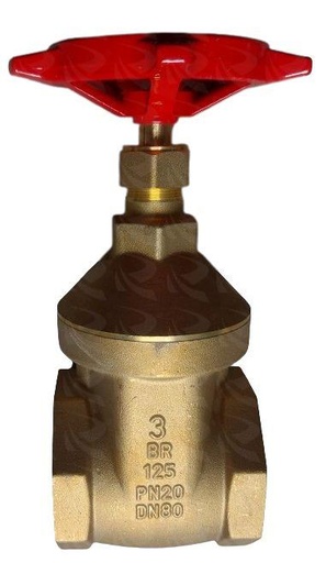 [001253] GATE VALVE CHINA (3/4")