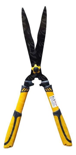 [001355] HEDGE SHEAR ELECTROPHORESIS 