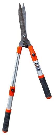 [001361] HEDGE SHEARS H D 