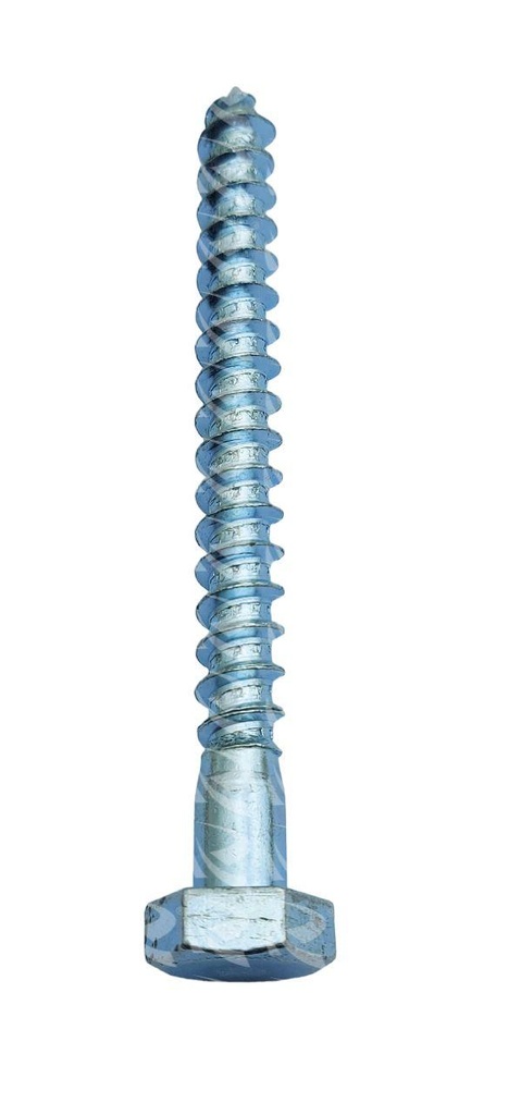 HEX WOOD SCREWS 