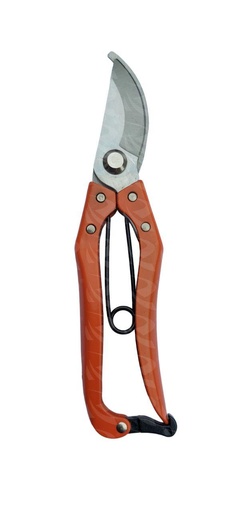 [002498] PRUNING SECATEURS  (SE804)