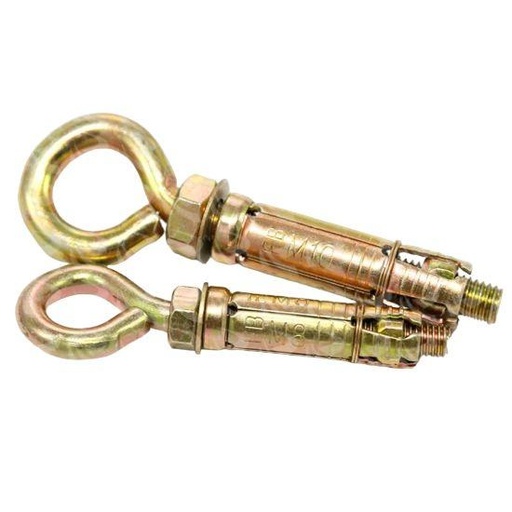 [002560] RAWL BOLT EYE TYPE  (M10X70MM)