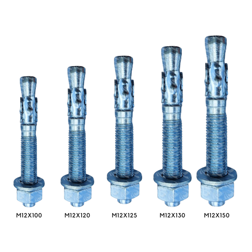 [003488] WEDGE ANCHOR 30PCS PER PKT (M12X130)