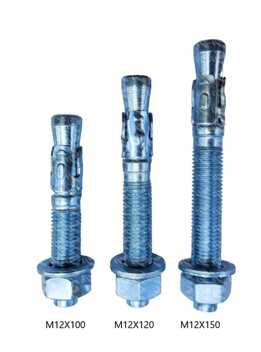 [003489] WEDGE ANCHOR 30PCS PER PKT (M12X150)