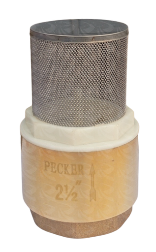[001176] FOOT VALVE NET TYPE  (2 1/2")